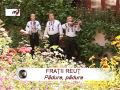 Fratii Reut - Padure, padure draga