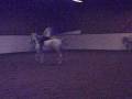 Dressage / Vasaria 7-9