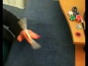 Combo #8