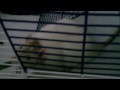 Meet Myron