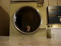 the Dryer
