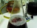 Practicas microbiologia