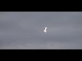 Parkzone Typhoon 3D RC Plane_2
