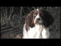 Cliquez pour voir la vid�o