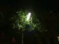 Night In Vienna