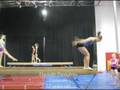 Danielle Dessaints Gymcats