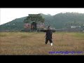 Wudang Ba Gua Zhang