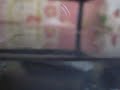 MY TURTLE (1)