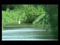 videos de From source to sea