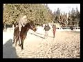 moii a cheval!! moii a cheval!!