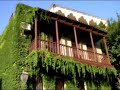 Tbilisi (Georgia)