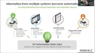 Lessons from the world’s most digitalized fleets: Shared Fleets