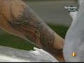 ALBERTO COWBOY e sua tatoo