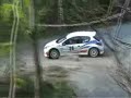RALLY VALLE D\
