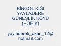 bingöl yayladere güneşlik köyü(hopık)