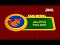 Animal Sounds in Hindi - Squirrel