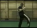 Thay Won Do Shadow Boxing a\