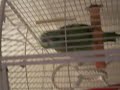 CIMG0858.AVI