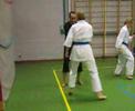 \"Karate-do teaching 1\" - Clinic with sensei Ries van Toorn