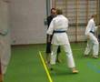 Karate-do teaching 1 - Clinic with sensei Ries van Toorn
