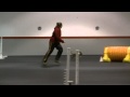 2010-02-09 | Dexter Portuguese Podengo Agility 020610 CPE L2 Wildcard ~> Dexter, the Portuguese Podengo Pequeno runs CPE! Wildcard level 2. Q#1 1st place! (<span>0:)