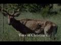 Pembina Gorge  Biodiversity and Deer Conservation