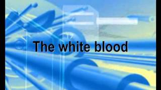 ฝากเพลงวง the white blood ด้วยครับ