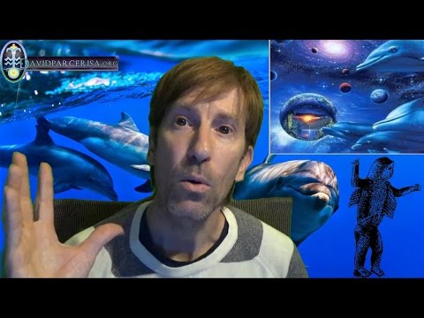 LOS ANIMALES QUE NOS ELEVAN LA VIBRACIÓN ESPIRITUAL