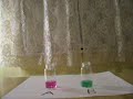 Cabbage as a pH Indicator