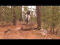 the legends of freeride show what freeride is to them