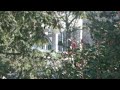Sony HDR-DC9 1080i Slow Motion Test Sony HDR-DC9 1080i Slow Motion Test