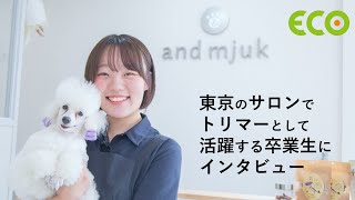 北海道エコ　Youtube Pickup!