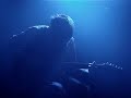 This Will Destroy You - Burial on the Presidio Banks