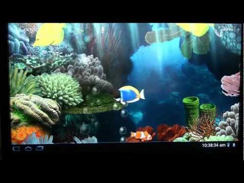 how to update sony google tv