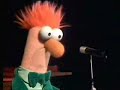 Master of Muppets Master of Muppets