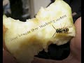 Werbung: Ssssss - S�chsische Medienakademie 2008
