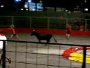 me bullrunning in france :)