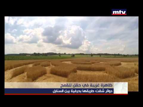 Prime Time News - 31/07/2014 - ظاهرة غريبة في حقل للقمح