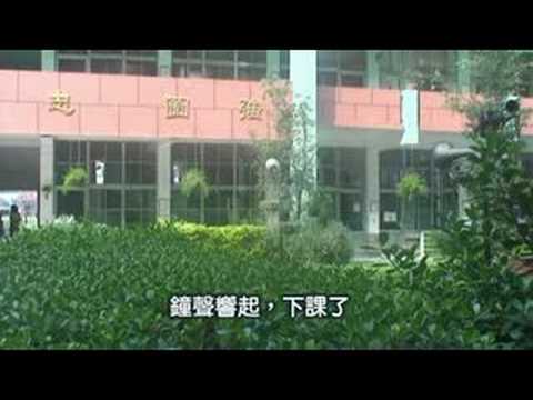 反毒