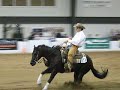 The Tradition Futurity 2008