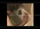 Title Me Emo Preview