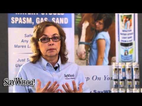 how to cure equine colic