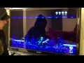 9vgames.com here is the second episode of watch me die. this episode had some awesome and humiliating footage of me repeatedly failing at chakan and abadox. i quit chakan early, but hang in there for abadox i beat myself up verbally at the end. have a suggestion for a watch me die episode? send me a message!