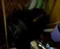 Tangos old engine!!!!!