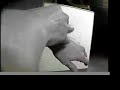 Airsoft TAPSS Demo Video, May 2006