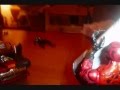 videos de marvel legends showdown ep. #2[part 1]