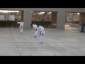 AOP Karate Demo: Weapons