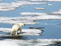 First Look: Arctic Changes (CBS News)