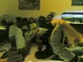 Ensaio da Geraçao viva com fantoches Ensaio da Geraçao viva com fantoches