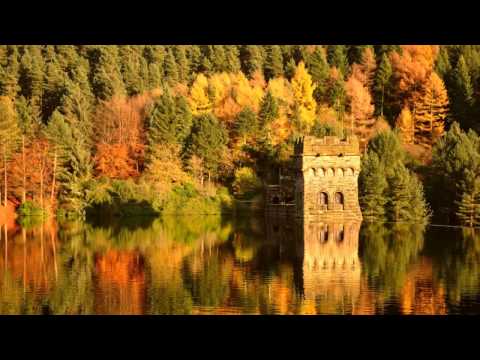 Study Music- Concentration and Focus- Two Hours Learning and Reading Music by Super Relax Channel